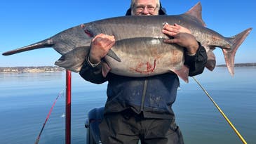 Oklahoma Anglers Catch 100-Pound Paddlefish on Grand Lake O’ The Cherokees