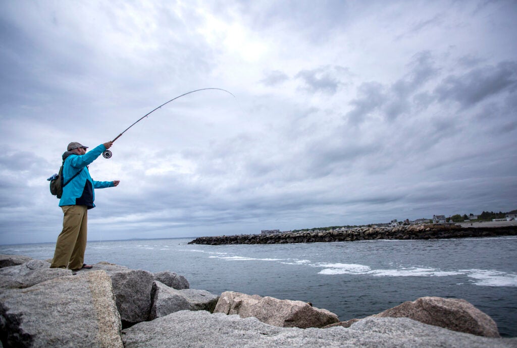 KENNEBUNKPORT, ME - JUNE 16: Jilles Dionne of Durham, N.H. casts his flyline at the breakwater in Kennebunkport on Friday, June 16, 2017, hoping to land a striper.