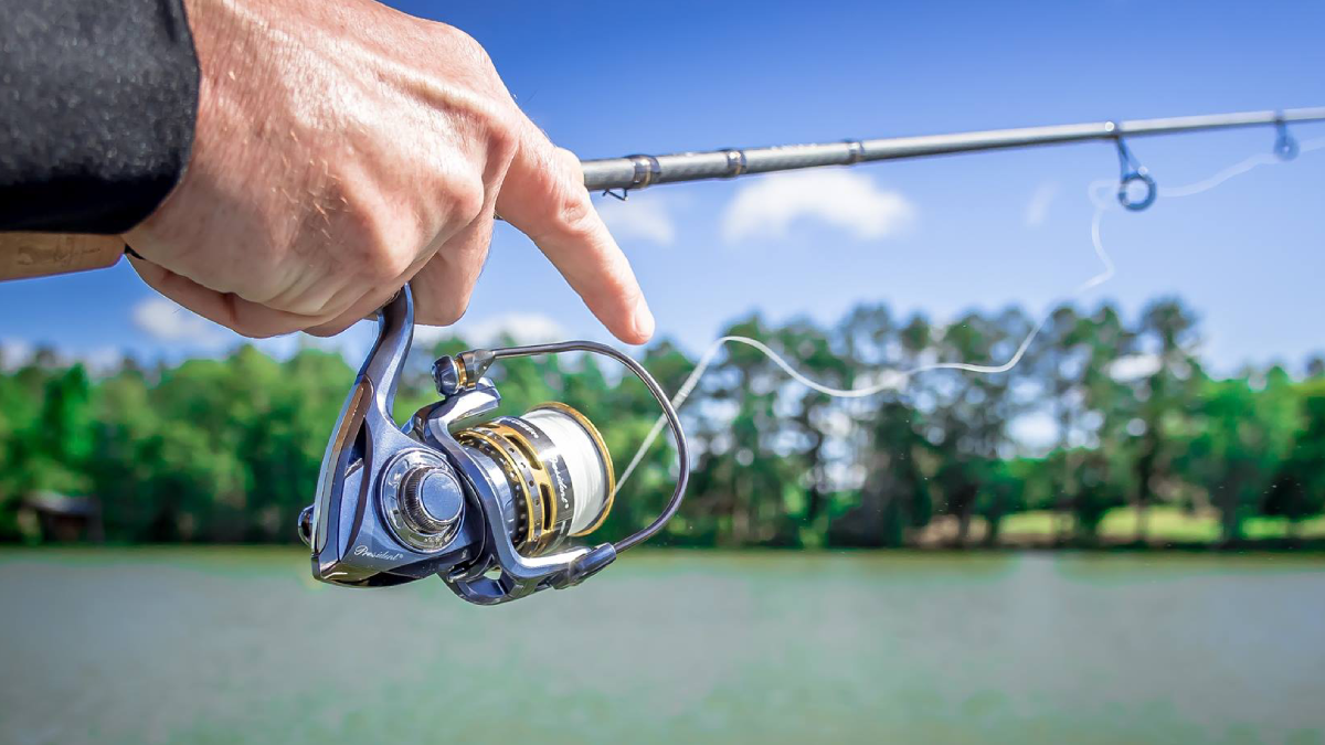 5 Best Saltwater Spinning Reels For 2024 (PRO Buying Guide)