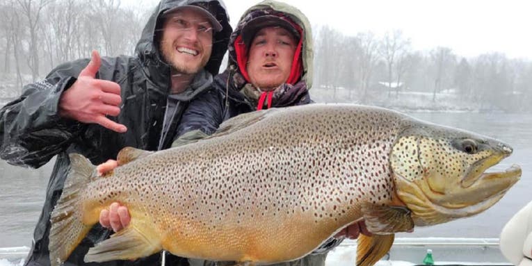Colorado Angler Pulls 25-Pound Brown Trout From Arkansas’ Famed White River