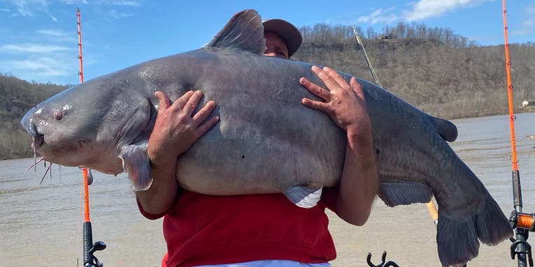 Kentucky Angler Catches 95-Pound Monster Blue Catfish
