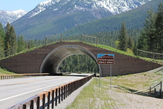 A wildlife crossing over a Montana highway. 