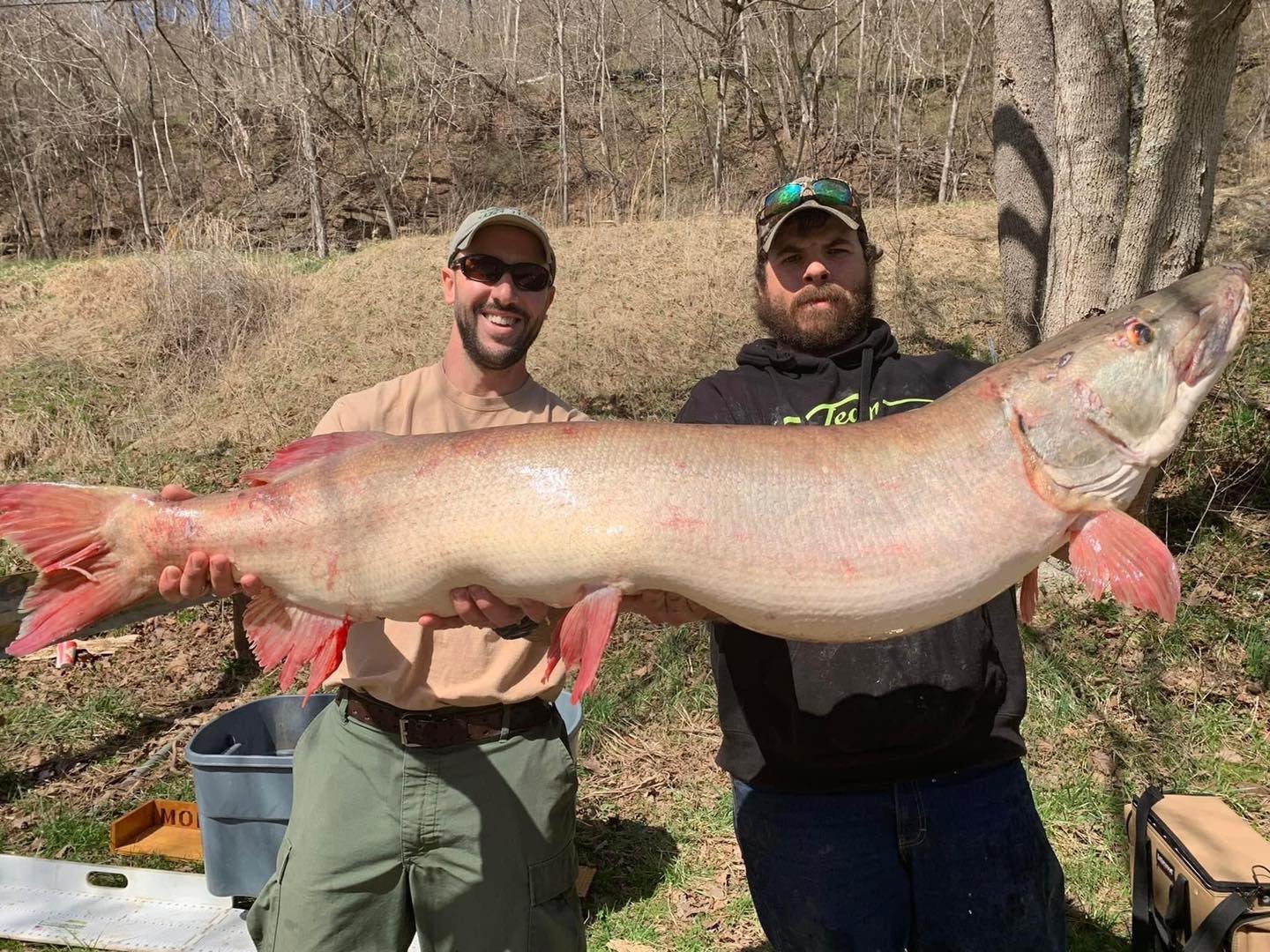 Luke King (right) shattered the W. Virginia muskie record with this 51-pound giant. The fish was released. 