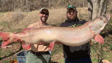 West Virginia Angler Smashes State Record With 51-Pound Muskie