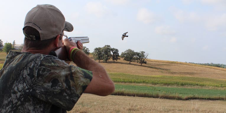 Pigeon Hunting is One of the Best Ways to Spend the Off-Season