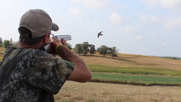 Hunter aiming a shotgun at a pigeon in the air.