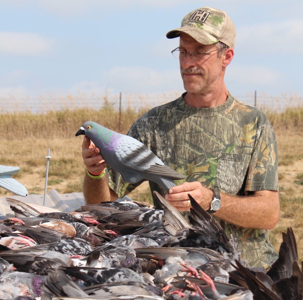 Man holding a pigeon decoy over a pile of dead pigeons.
