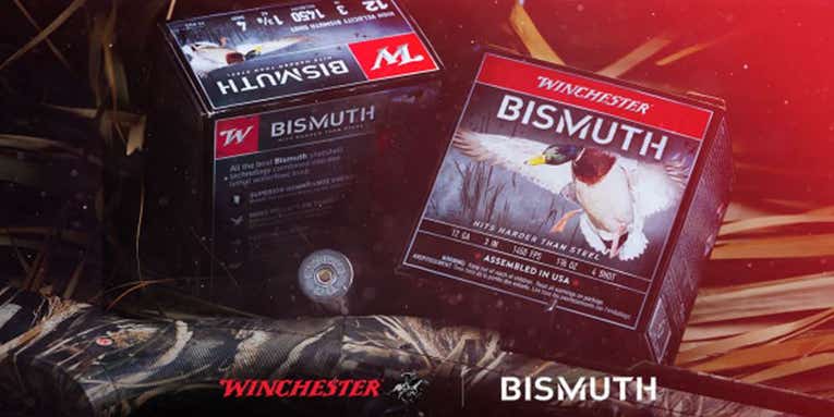 Field Test: Winchester’s New Bismuth Waterfowl and Diamond-Grade Pheasant Loads Impress