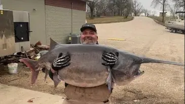 Angler Catches a New Record Paddlefish in Missouri