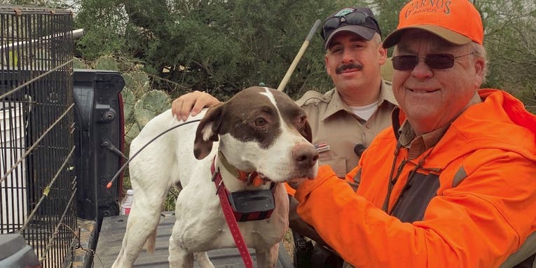 Bird Dog Falls Into 50-Foot Well And Gets Rescued By Texas Game Wardens