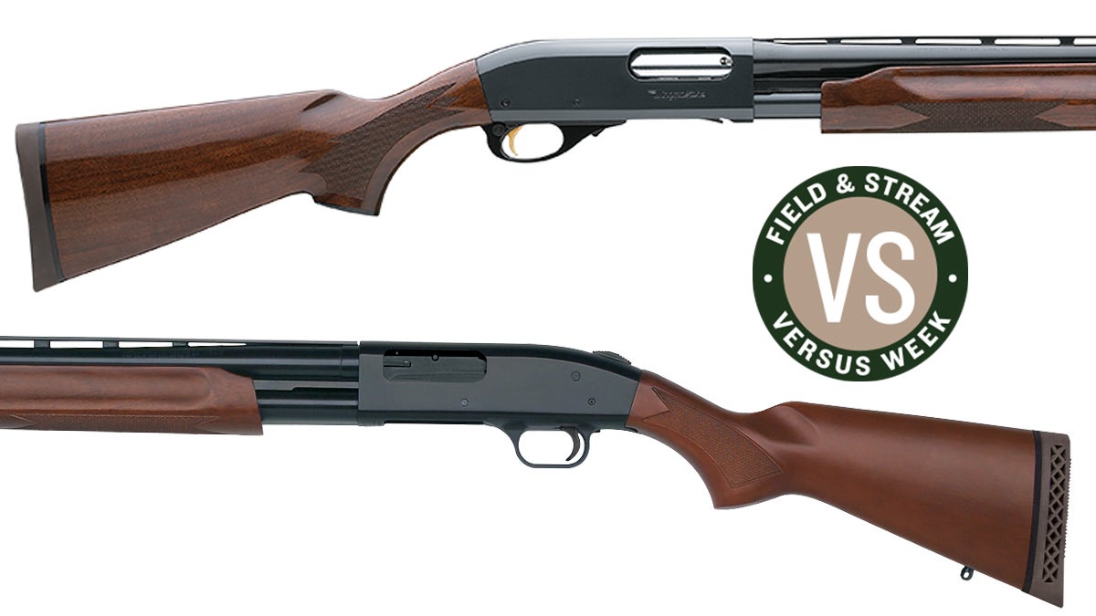 Remington 870 shotgun above a Mossberg 500 shotgun for F&S versus week.