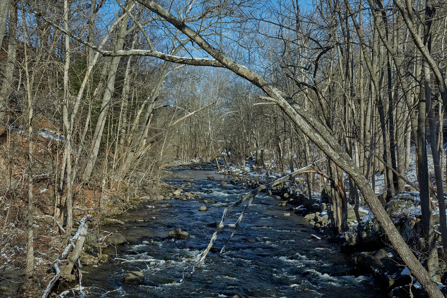 Croton River, New York, bare trees