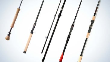 Collage of the Best Fishing Rods for all types of fishing
