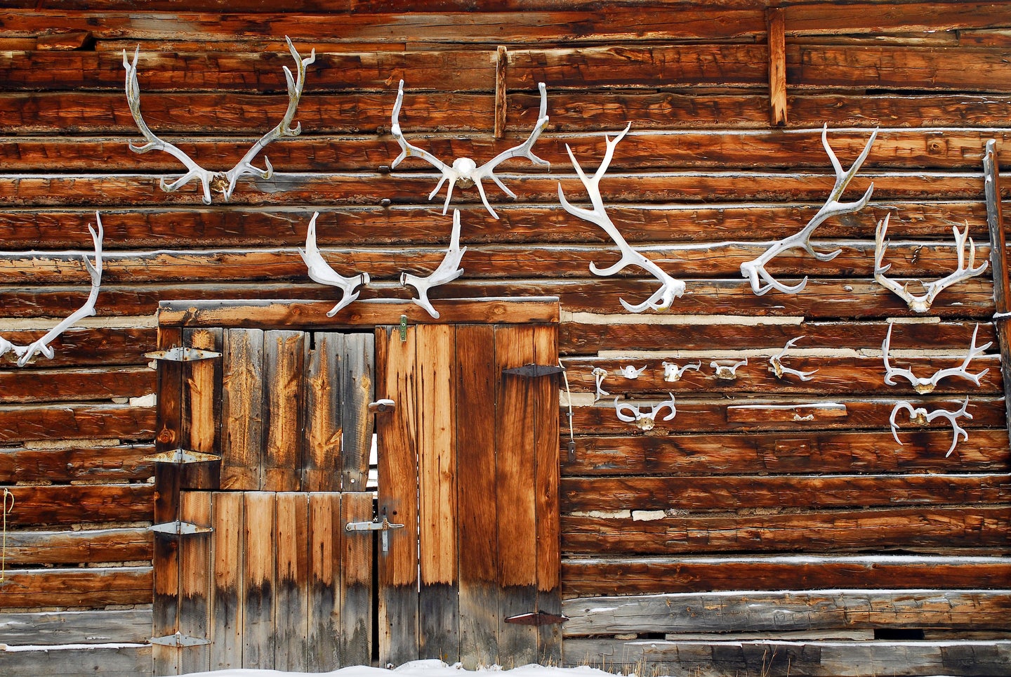 antlers on a hunting cabin