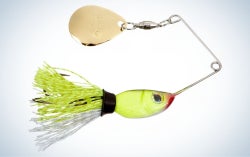 Strike King Rocket Shad is the best smallmouth spinnerbaits.