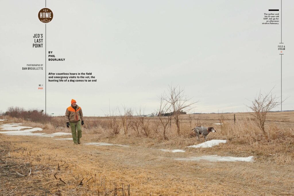 Hunting dog story in Field & Stream home issue