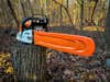 A chainsaw with a orange sheath sits on tree stump in a forest