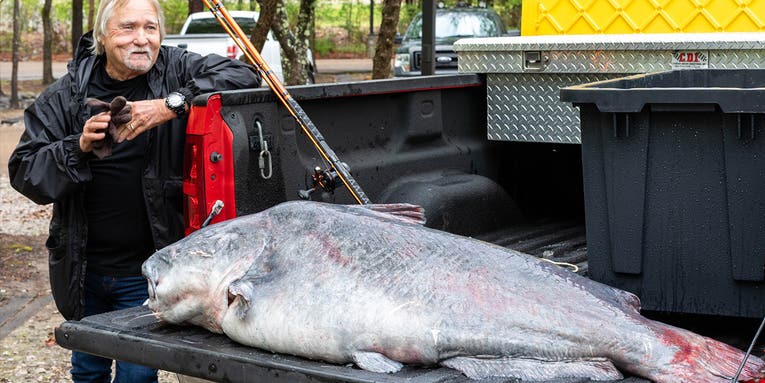 Mississippi Angler Smashes State Record With 131-Pound Blue Catfish