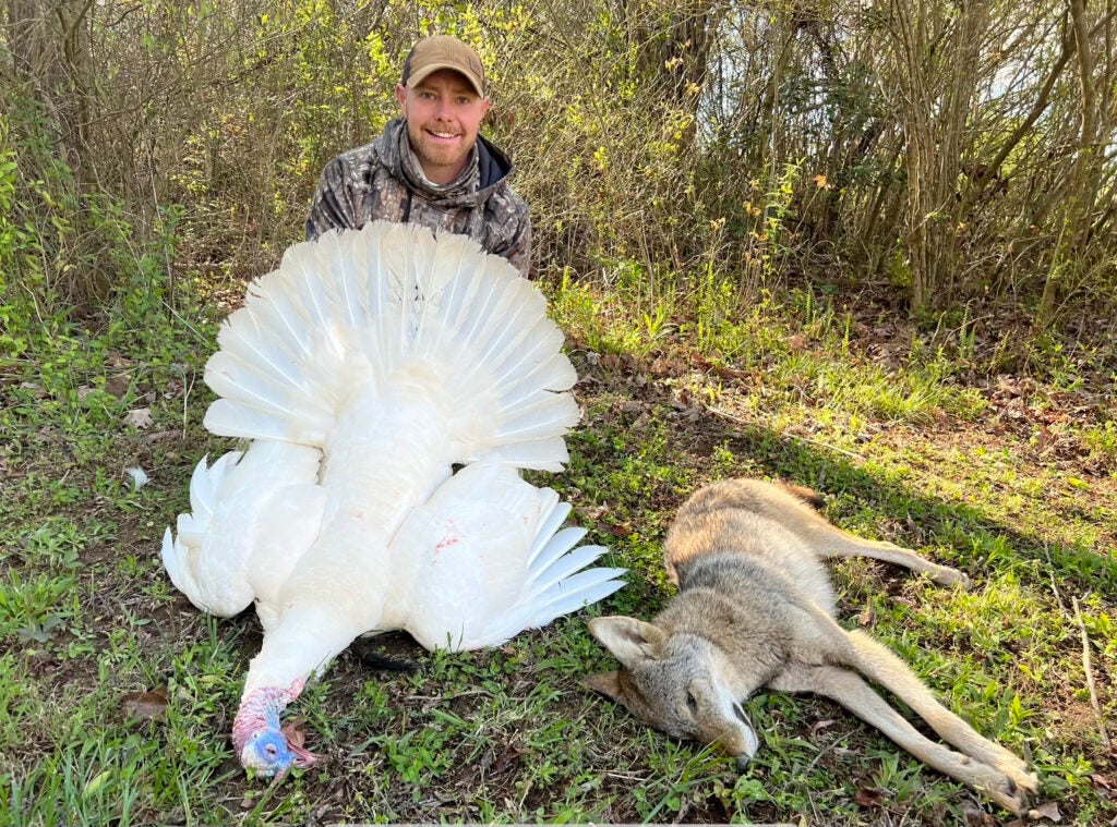 hunter poses with white turkey and coyote