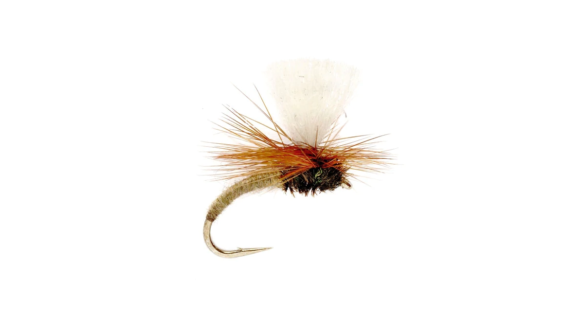 The Klinkhamer Special fly fishing fly for trout.