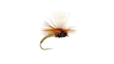 F&S Fly of The Week: The Klinkhamer Special