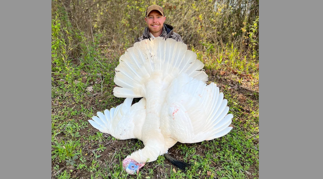 hunter poses with all-white leucitic wild turkey