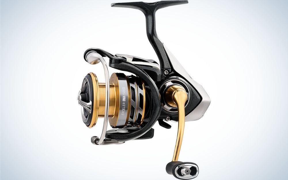 best spinning reel for smallmouth bass Today's Deals - OFF 67%