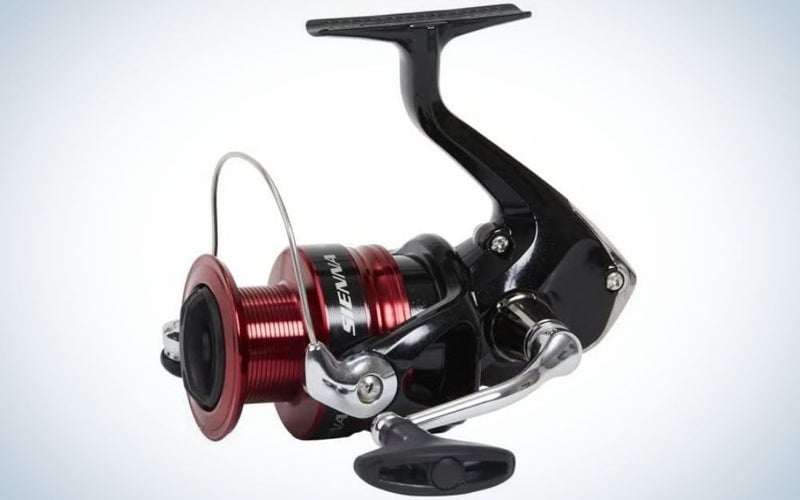 Best_Spinning_Reels_for_Bass_SHIMANO