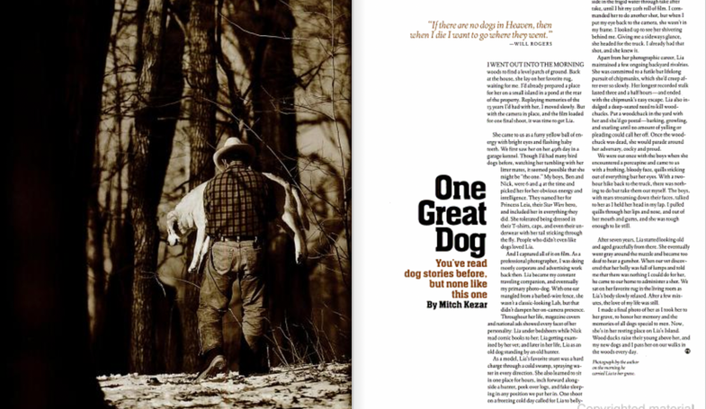 Classic hunting dog story from Field & Stream