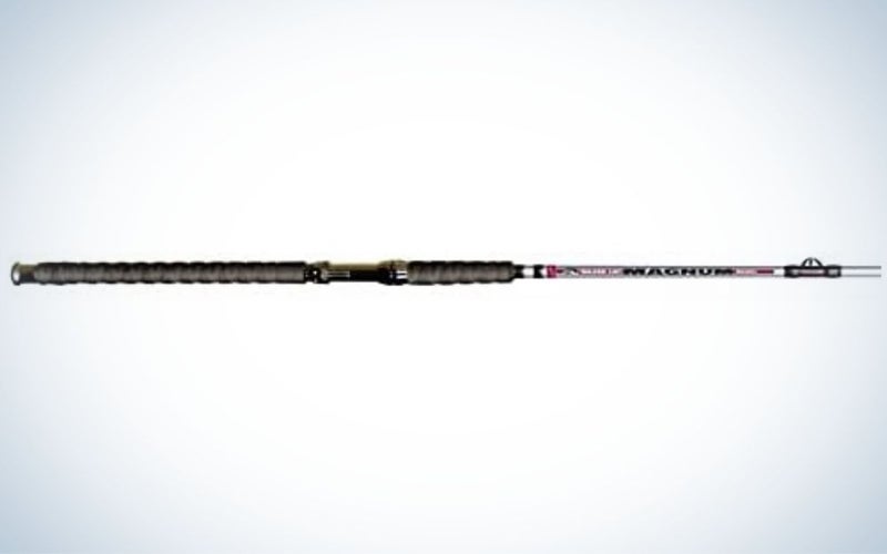 B’n’M Poles Silver Cat Magnum 10-Foot is the best 10-foot rod.