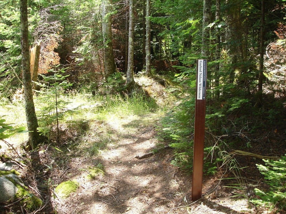 A hiking trail in the Gaylord Nelson Wilderness. 