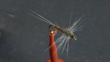 Hackle-Winged Rusty Spinner fly fishing fly.