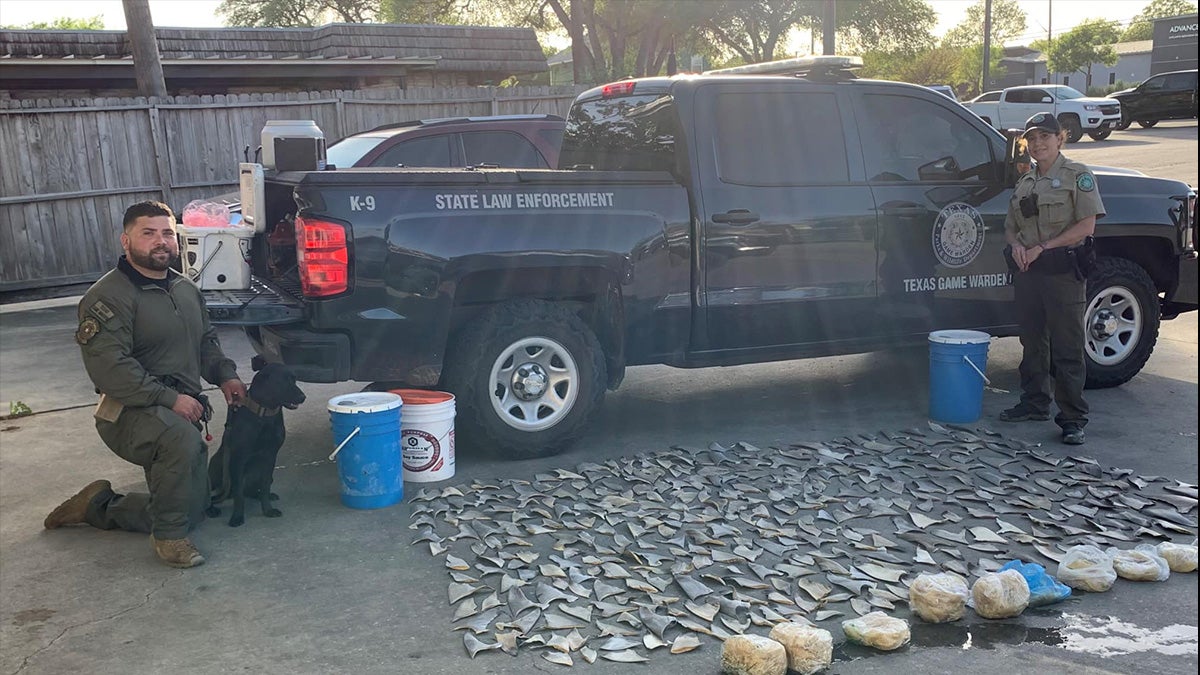 texas game wardens post with confiscated shark fins