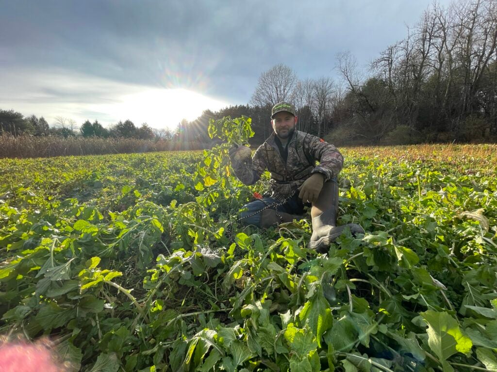 photo of Dave Richmond in food plot