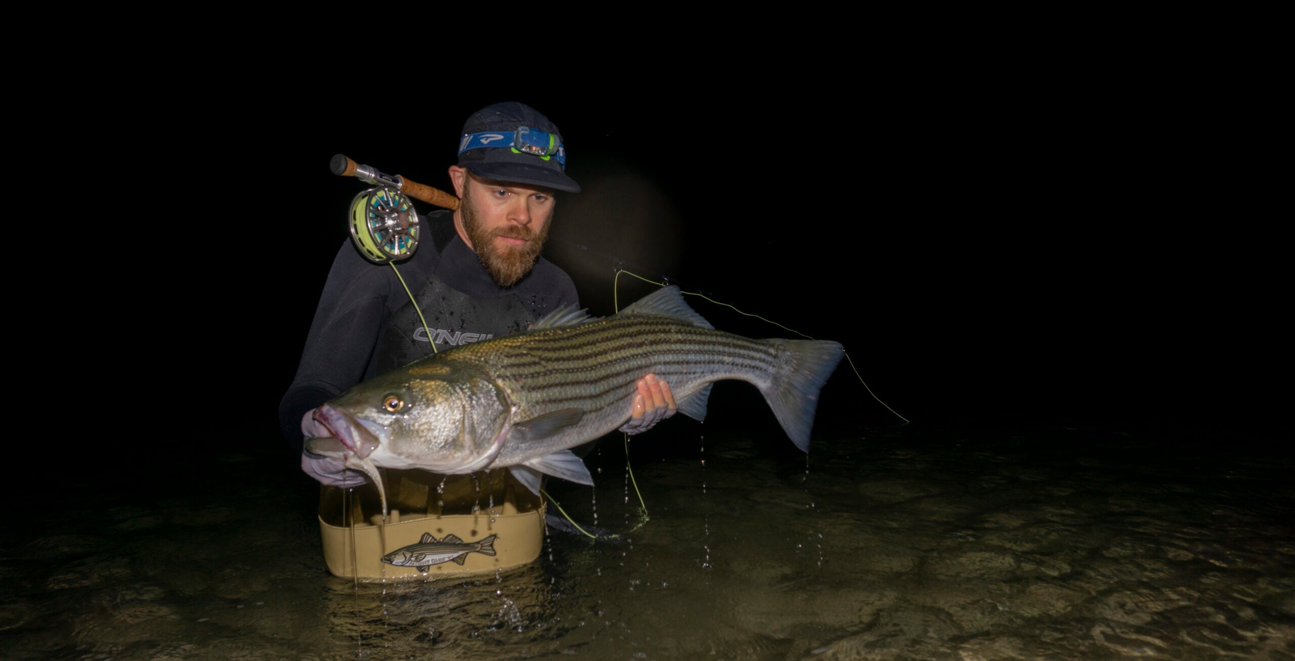 Fisherman with a striped bass at night.