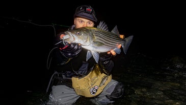 How to Land Your First Striper on a Fly Rod