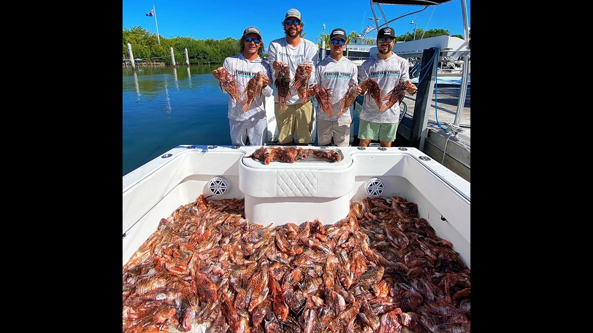 men pose on boat with hundreds of red lionfish