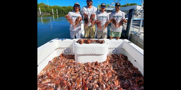 Spearfishing Team Breaks Derby Record By Removing 426 Invasive Lionfish in One Day