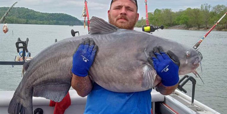 Tennessee Angler Pull 107-Pound Blue Catfish from Alabama Reservoir