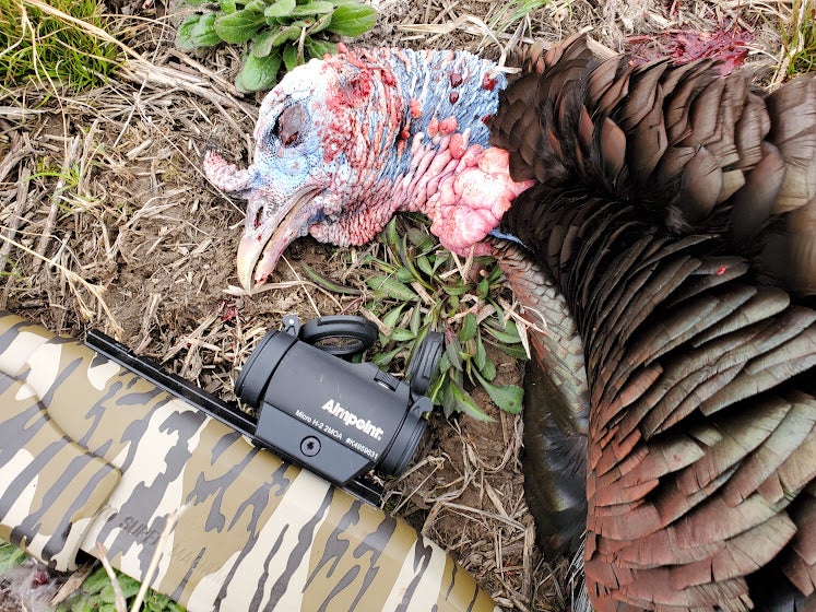 photo of shotgun and turkey
