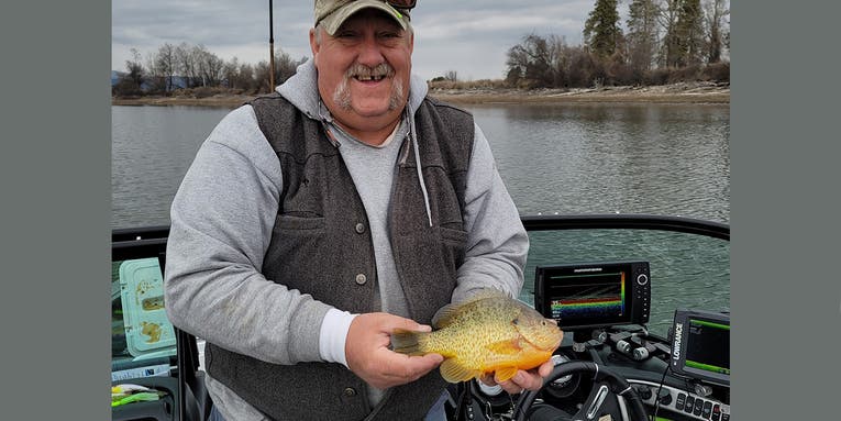 Montana Angler Catches New State-Record Pumkinseed Sunfish