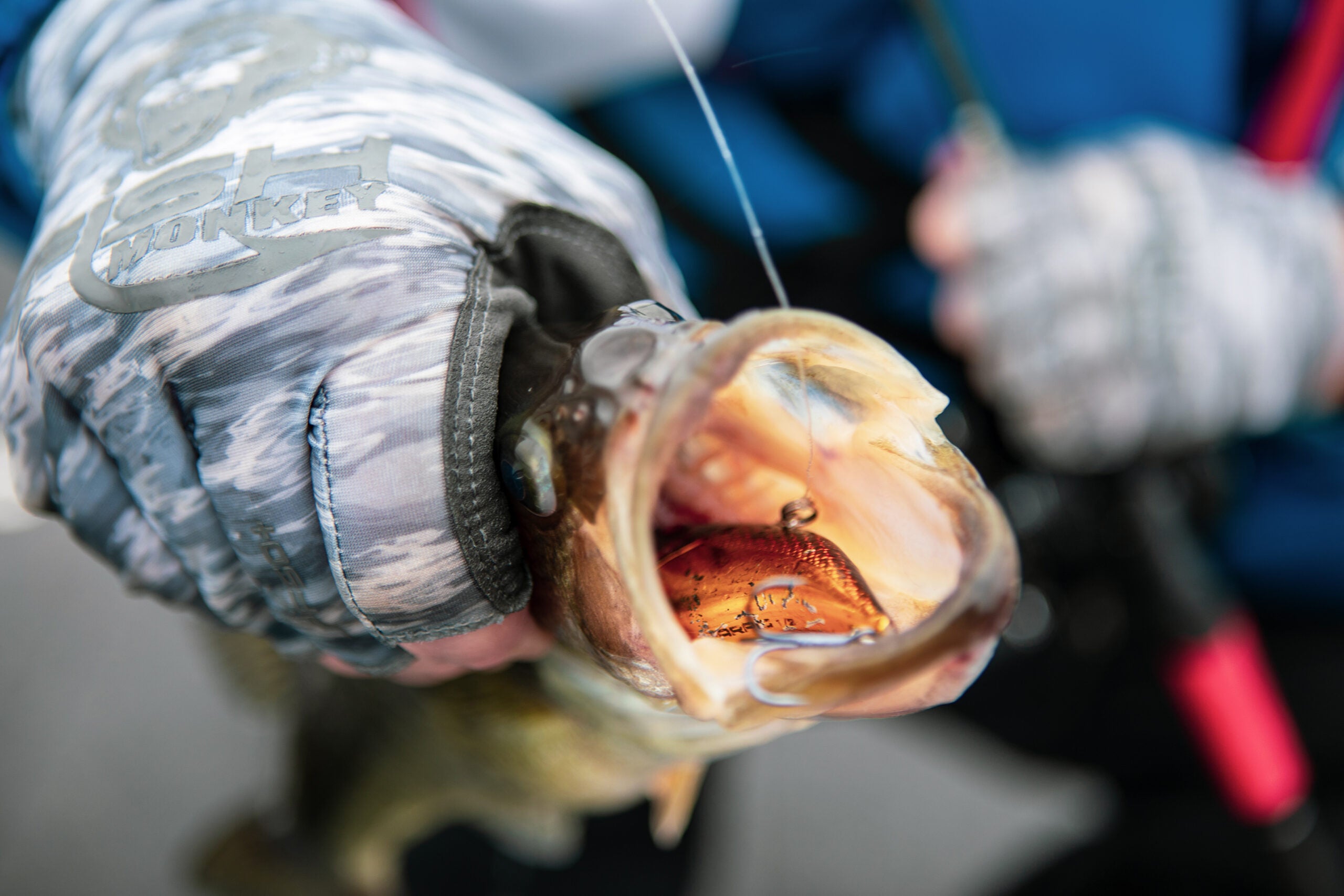 Each angler should fish different baits until a bite pattern emerges. 