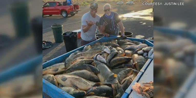Hawaiian Spearfisherman Kills 82 Fish to Win National Championship