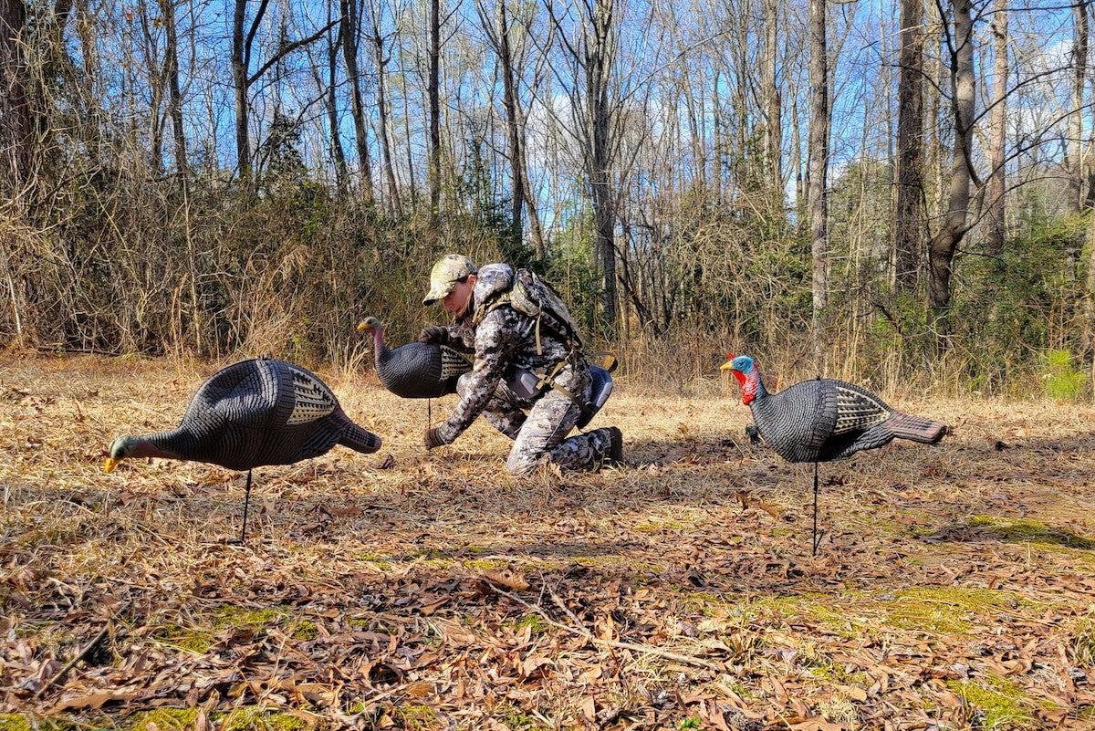 Hunter setting up Game Winner turkey flock decoys in the woods