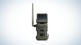 Best Budget Trail Camera: SpyPoint Flex-S Cellular Trail Camera