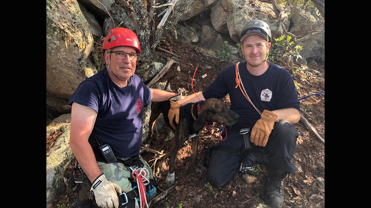 Firefighters with dog after a rescue.