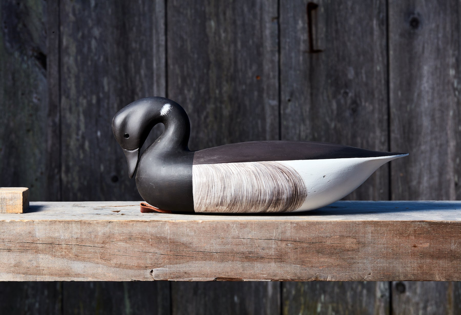 A hand carved atlantic brant decoy.