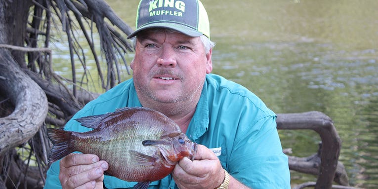 Georgia Angler Ties World Record with Redbreast Sunfish Caught During Bass Tournament