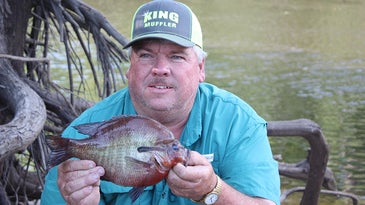 Georgia Angler Ties World Record with Redbreast Sunfish Caught During Bass Tournament