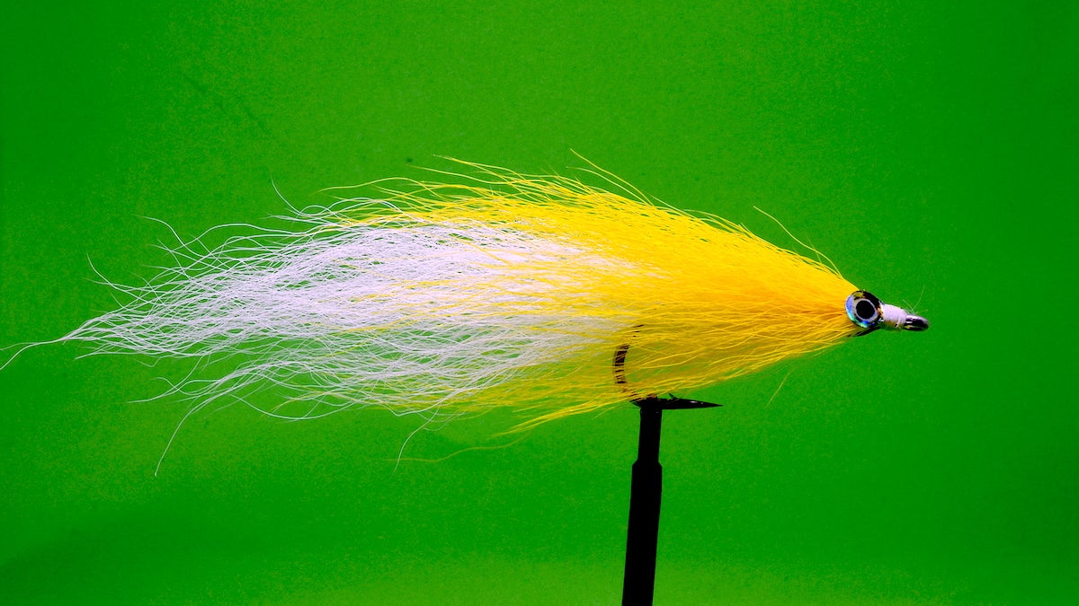The bucktail deceiver fly fishing fly.